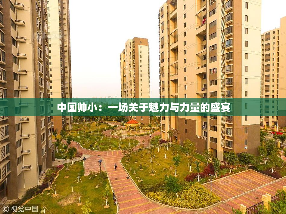 中国帅小：一场关于魅力与力量的盛宴