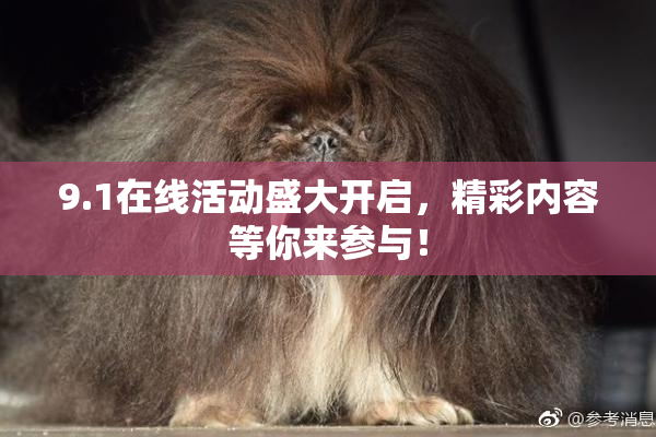 9.1在线活动盛大开启，精彩内容等你来参与！