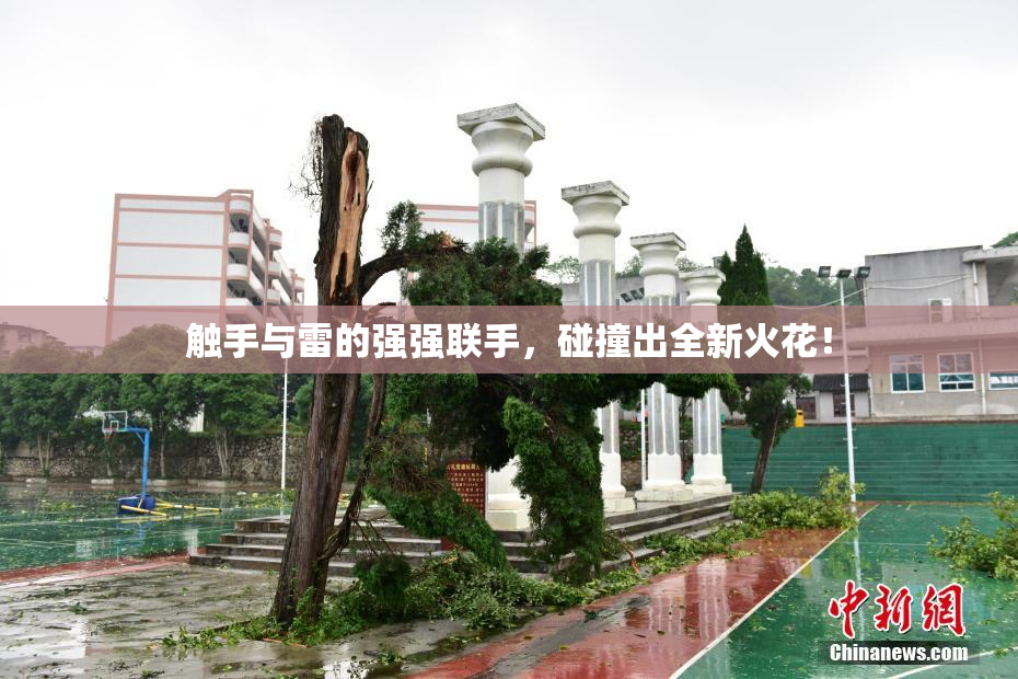 触手与雷的强强联手，碰撞出全新火花！