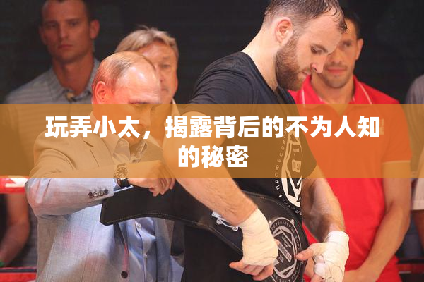玩弄小太，揭露背后的不为人知的秘密
