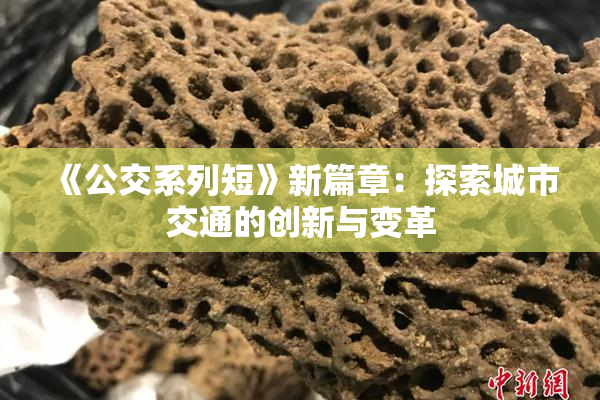 《公交系列短》新篇章：探索城市交通的创新与变革