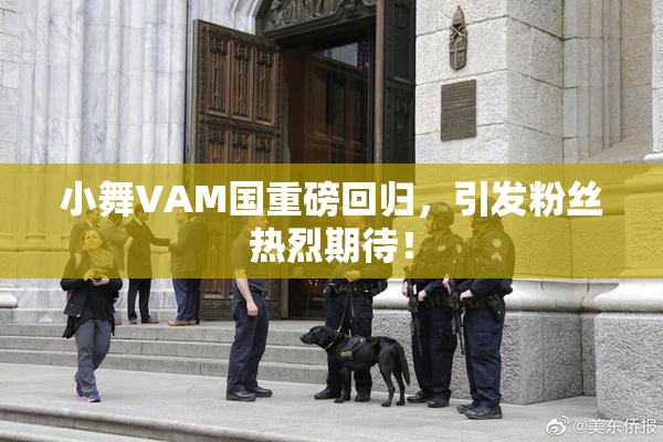 小舞VAM国重磅回归，引发粉丝热烈期待！