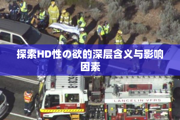 探索HD性の欲的深层含义与影响因素