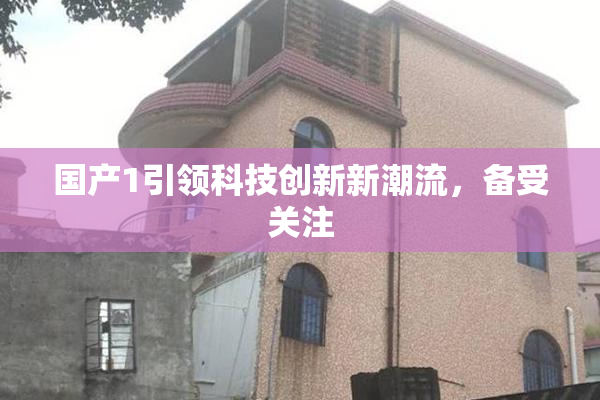 国产1引领科技创新新潮流，备受关注