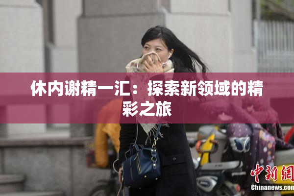 休内谢精一汇：探索新领域的精彩之旅