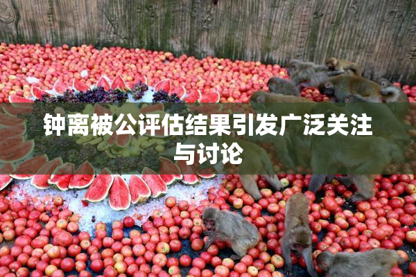 钟离被公评估结果引发广泛关注与讨论