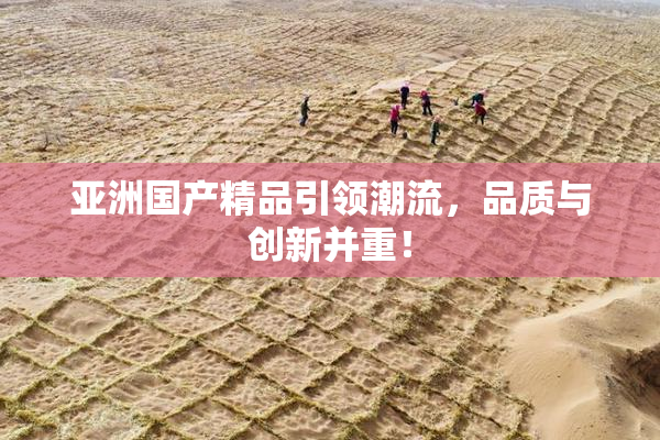 亚洲国产精品引领潮流，品质与创新并重！