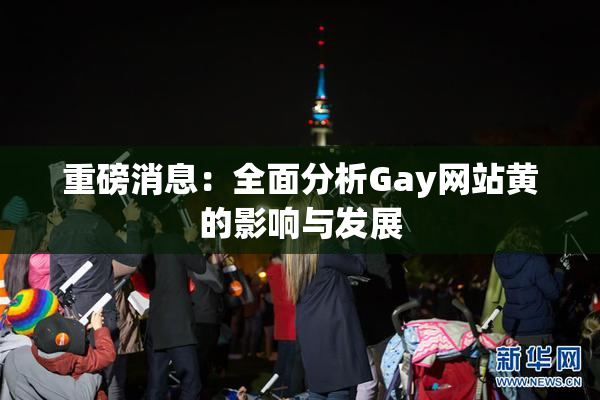 重磅消息：全面分析Gay网站黄的影响与发展