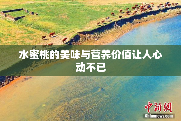 水蜜桃的美味与营养价值让人心动不已