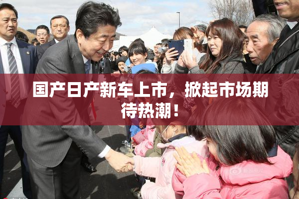 国产日产新车上市，掀起市场期待热潮！