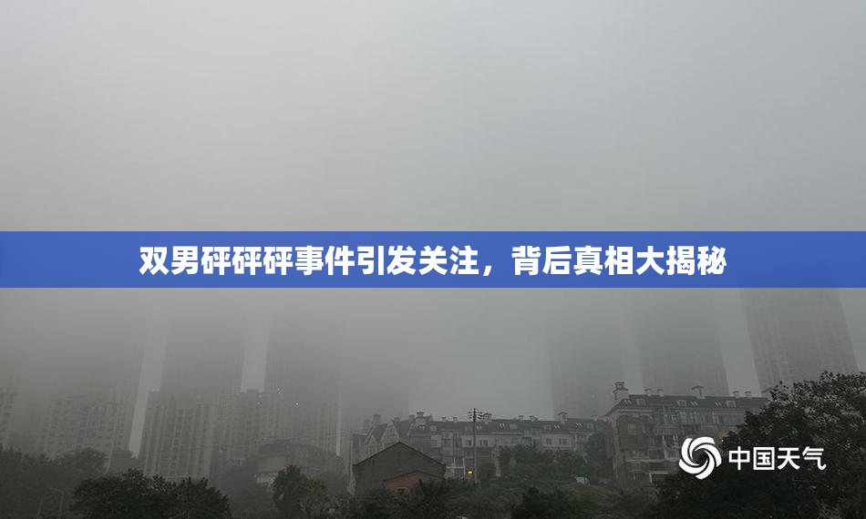 双男砰砰砰事件引发关注，背后真相大揭秘