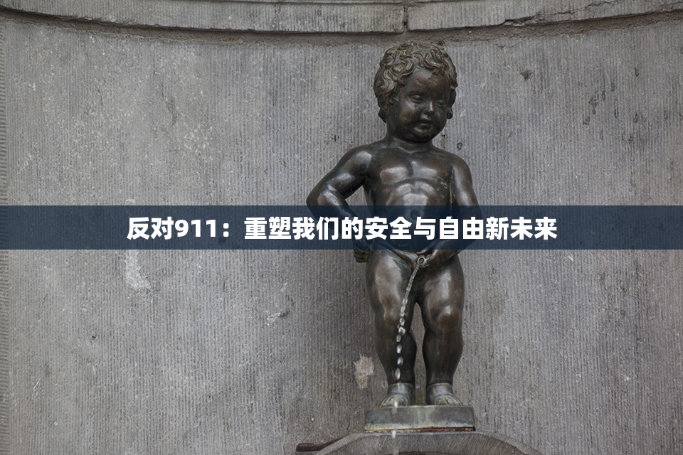 反对911：重塑我们的安全与自由新未来