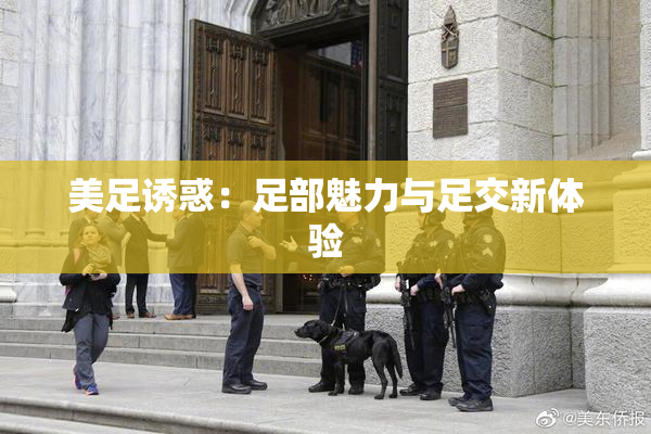 美足诱惑：足部魅力与足交新体验