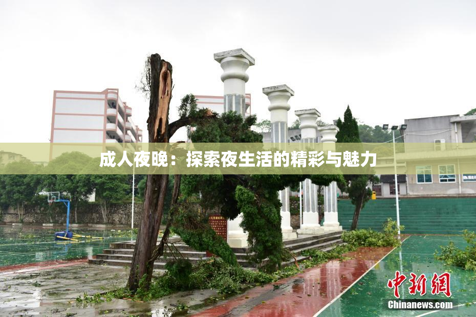 成人夜晚：探索夜生活的精彩与魅力