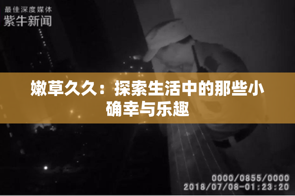嫩草久久：探索生活中的那些小确幸与乐趣