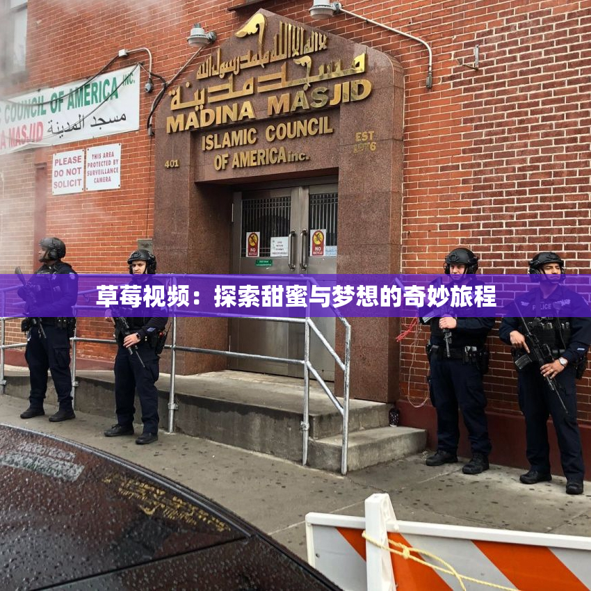 草莓视频：探索甜蜜与梦想的奇妙旅程