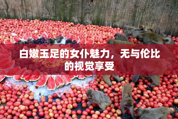 白嫩玉足的女仆魅力，无与伦比的视觉享受