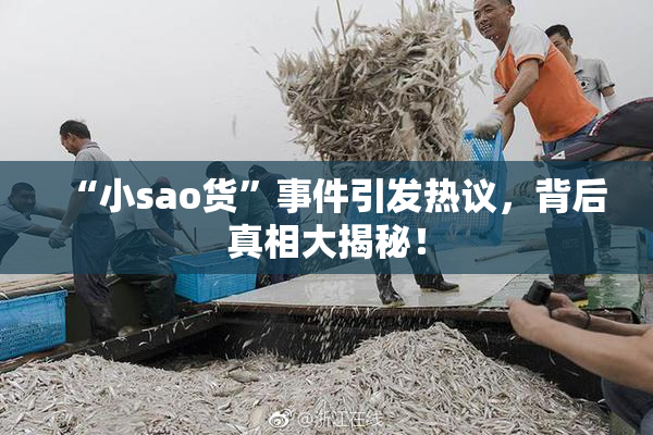 “小sao货”事件引发热议，背后真相大揭秘！