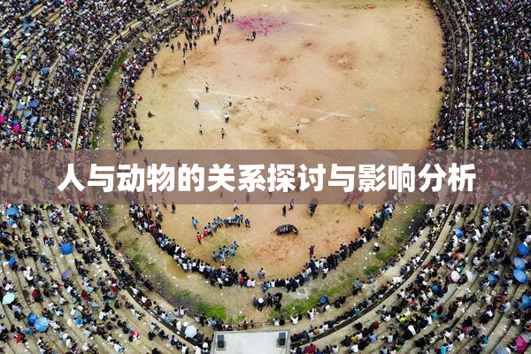人与动物的关系探讨与影响分析