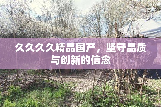 久久久久精品国产，坚守品质与创新的信念