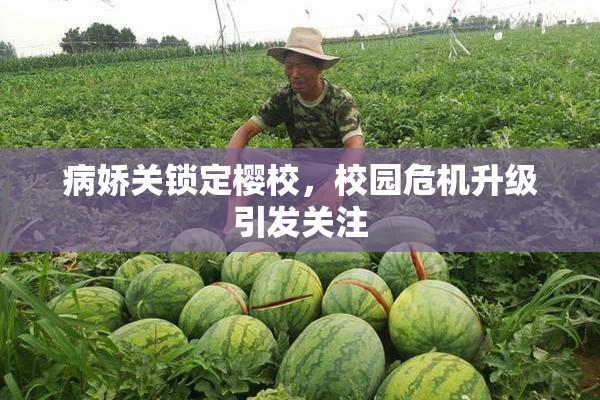 病娇关锁定樱校，校园危机升级引发关注