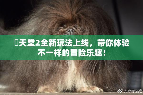妺天堂2全新玩法上线，带你体验不一样的冒险乐趣！