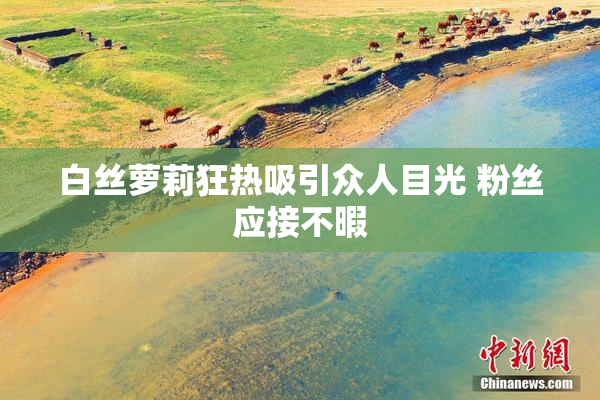 白丝萝莉狂热吸引众人目光 粉丝应接不暇