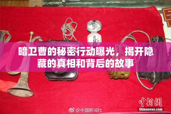 暗卫曹的秘密行动曝光，揭开隐藏的真相和背后的故事