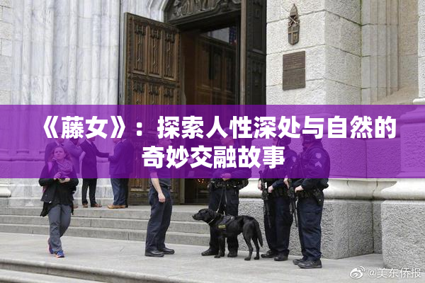 《藤女》：探索人性深处与自然的奇妙交融故事