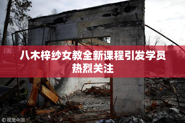 八木梓纱女教全新课程引发学员热烈关注
