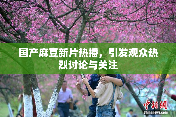 国产麻豆新片热播，引发观众热烈讨论与关注