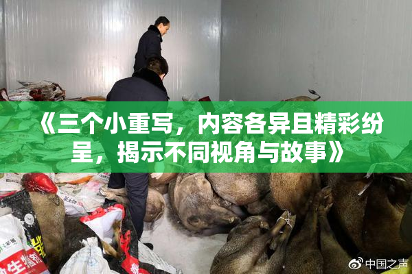 《三个小重写，内容各异且精彩纷呈，揭示不同视角与故事》