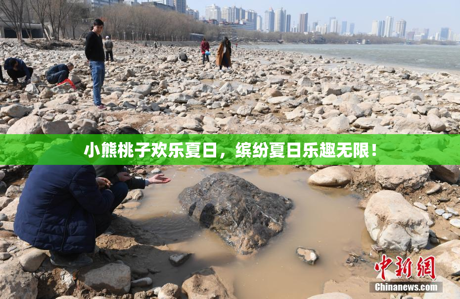 小熊桃子欢乐夏日，缤纷夏日乐趣无限！