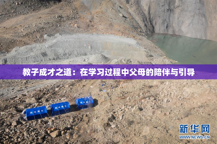 教子成才之道：在学习过程中父母的陪伴与引导