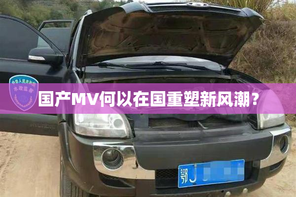 国产MV何以在国重塑新风潮？