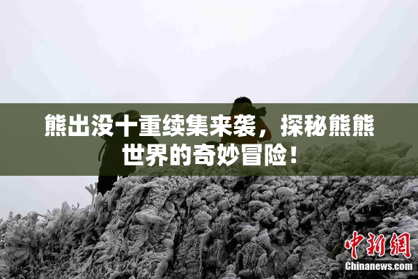 熊出没十重续集来袭，探秘熊熊世界的奇妙冒险！