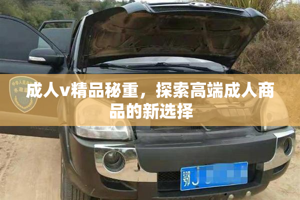 成人v精品秘重，探索高端成人商品的新选择