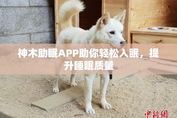 神木助眠APP助你轻松入眠，提升睡眠质量