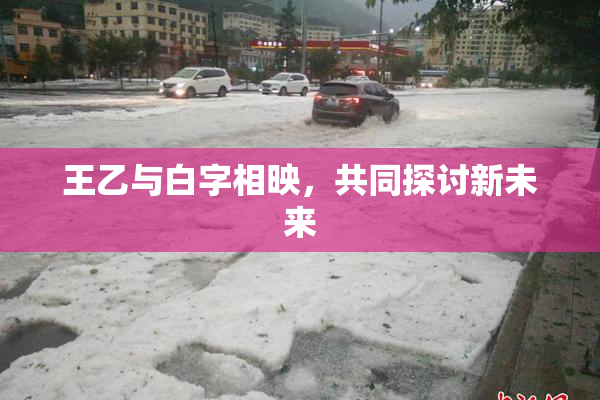 王乙与白字相映，共同探讨新未来