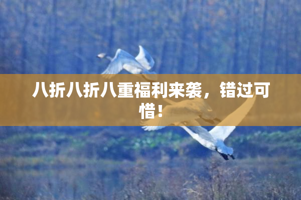 八折八折八重福利来袭，错过可惜！