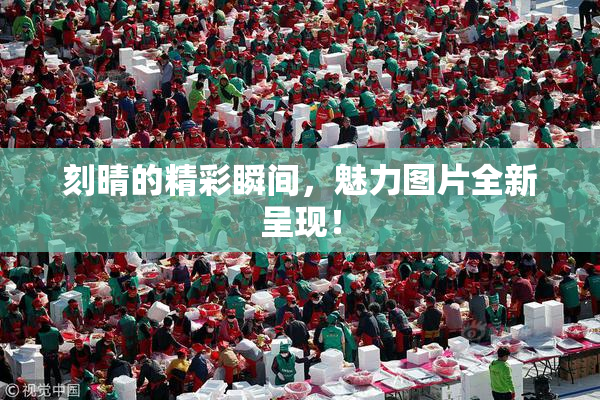 刻晴的精彩瞬间，魅力图片全新呈现！