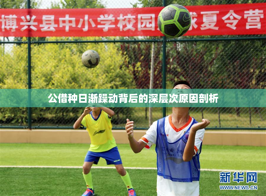 公借种日渐躁动背后的深层次原因剖析