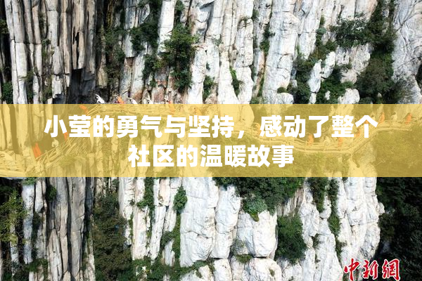 小莹的勇气与坚持，感动了整个社区的温暖故事