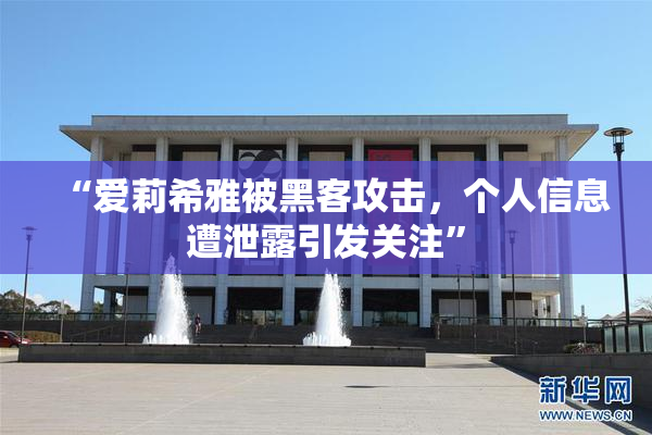 “爱莉希雅被黑客攻击，个人信息遭泄露引发关注”