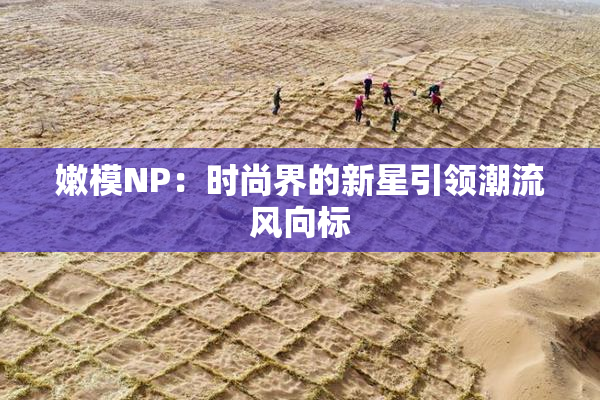 嫩模NP：时尚界的新星引领潮流风向标