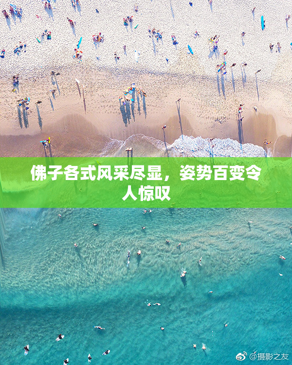 佛子各式风采尽显，姿势百变令人惊叹