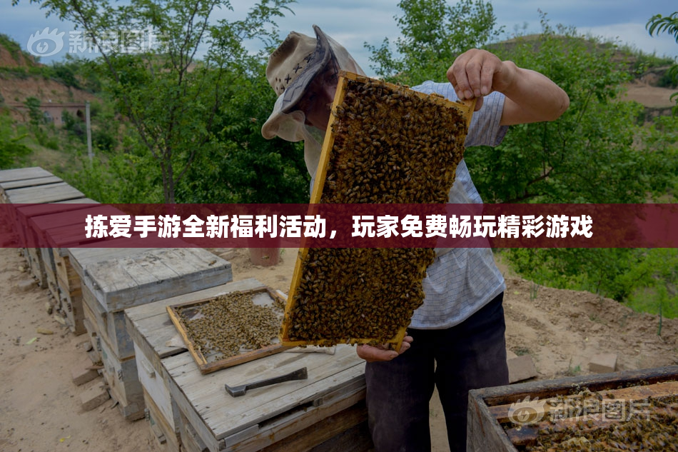 拣爱手游全新福利活动，玩家免费畅玩精彩游戏
