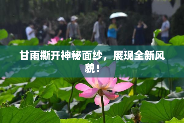 甘雨撕开神秘面纱，展现全新风貌！