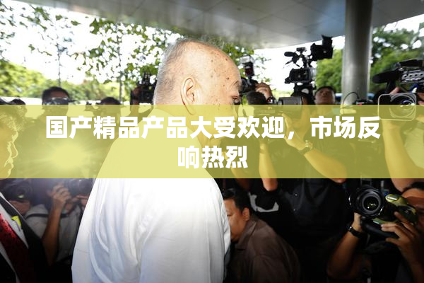 国产精品产品大受欢迎，市场反响热烈