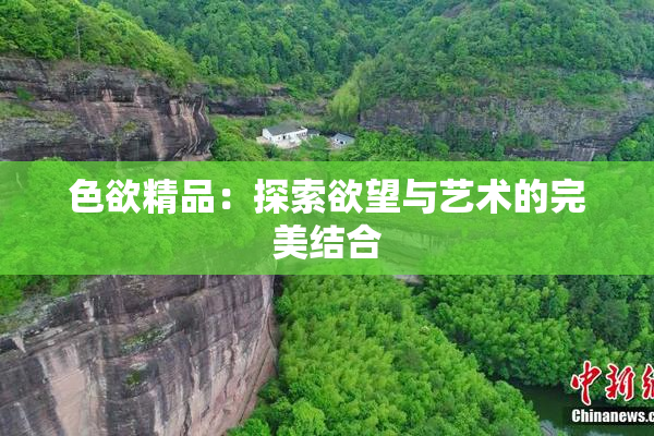 色欲精品：探索欲望与艺术的完美结合